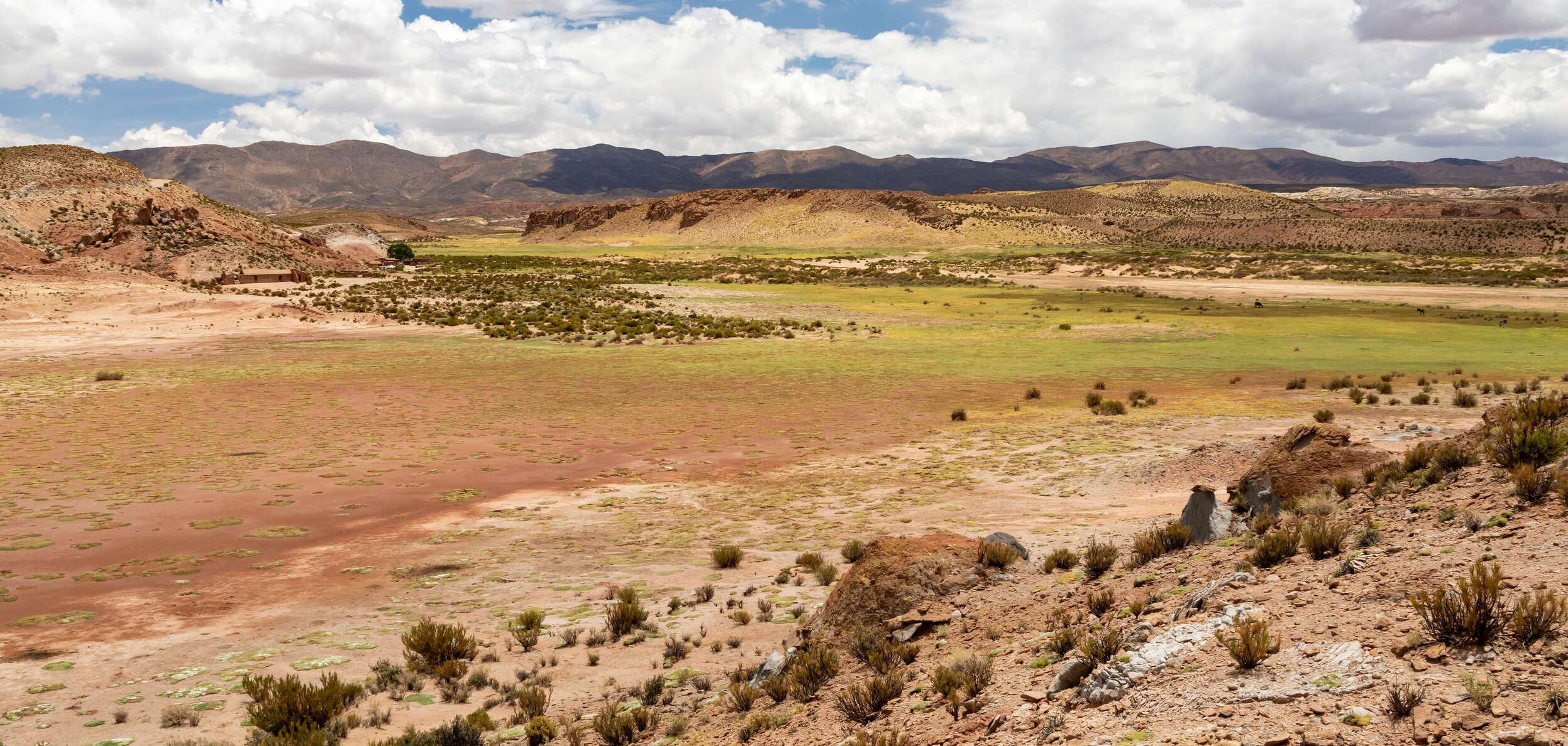 Susques | Andean landscape