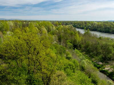 Unteres Murtal | Riverine forest and Mur