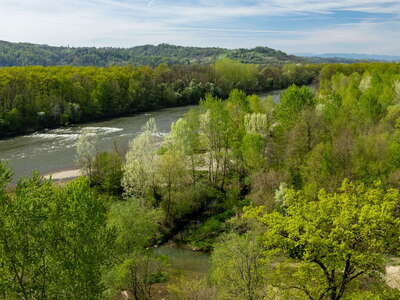 Unteres Murtal | Riverine forest and Mur