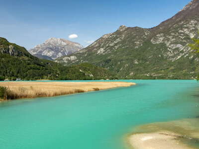 Lago di Cavazzo with reed belt