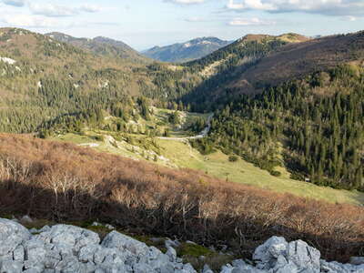 Sjeverni Velebit with krummholz beech forest