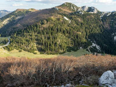 Sjeverni Velebit with krummholz beech forest
