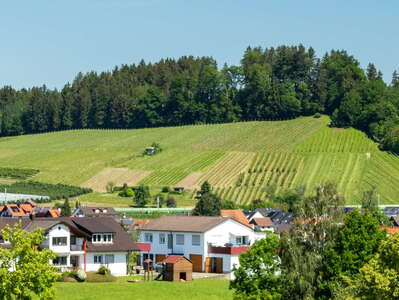Ringoldsberg | Drumlin