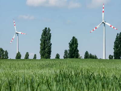 Carnuntum | Wind power