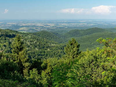 Papuk | Northern slopes and Pannonian Plain