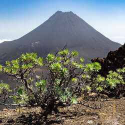 Cape Verde