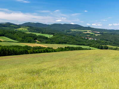 Bernsteiner Gebirge with Wenzelanger