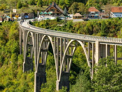 Tara Valley | Most na Đurđevića Tari