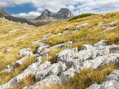 Durmitor | Limestone pavement and Sedlena greda