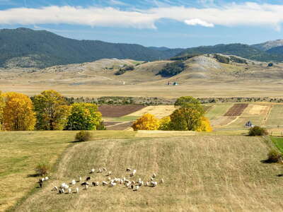 Jezerska površ | Rural landscape