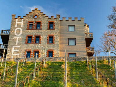 Würzburg | Schloss Steinburg