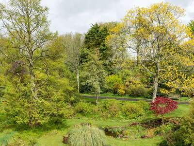 Downhill | Garden