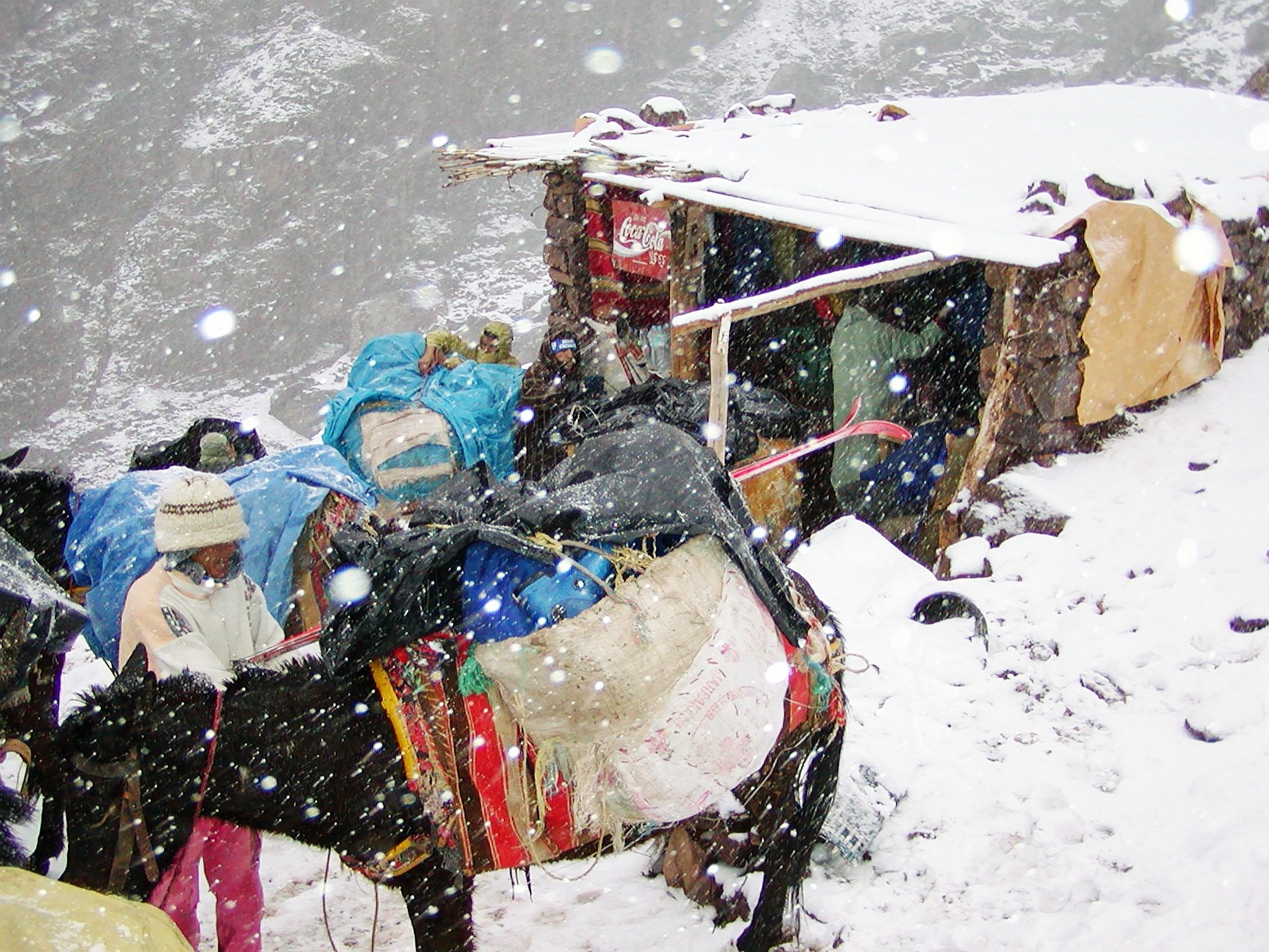 Toubkal NP  |  Trekking business