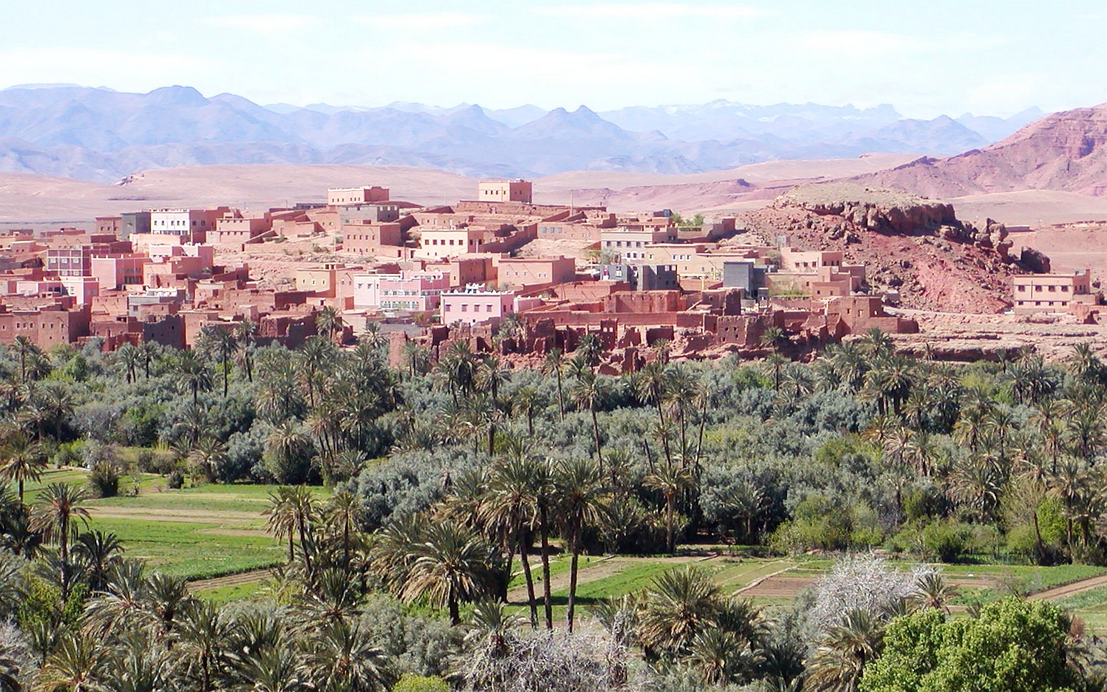 The area of Tinghir includes various villages along an oasis extending for 30 km along the Wadi Togdha. The palm groves (date palm Phoenix dactylifera) and the farmland are irrigated by a system of canals and pipes. Wadi Todgha originates in the High Atlas, the Anti-Atlas appears in the background. WI_mc043.jpg