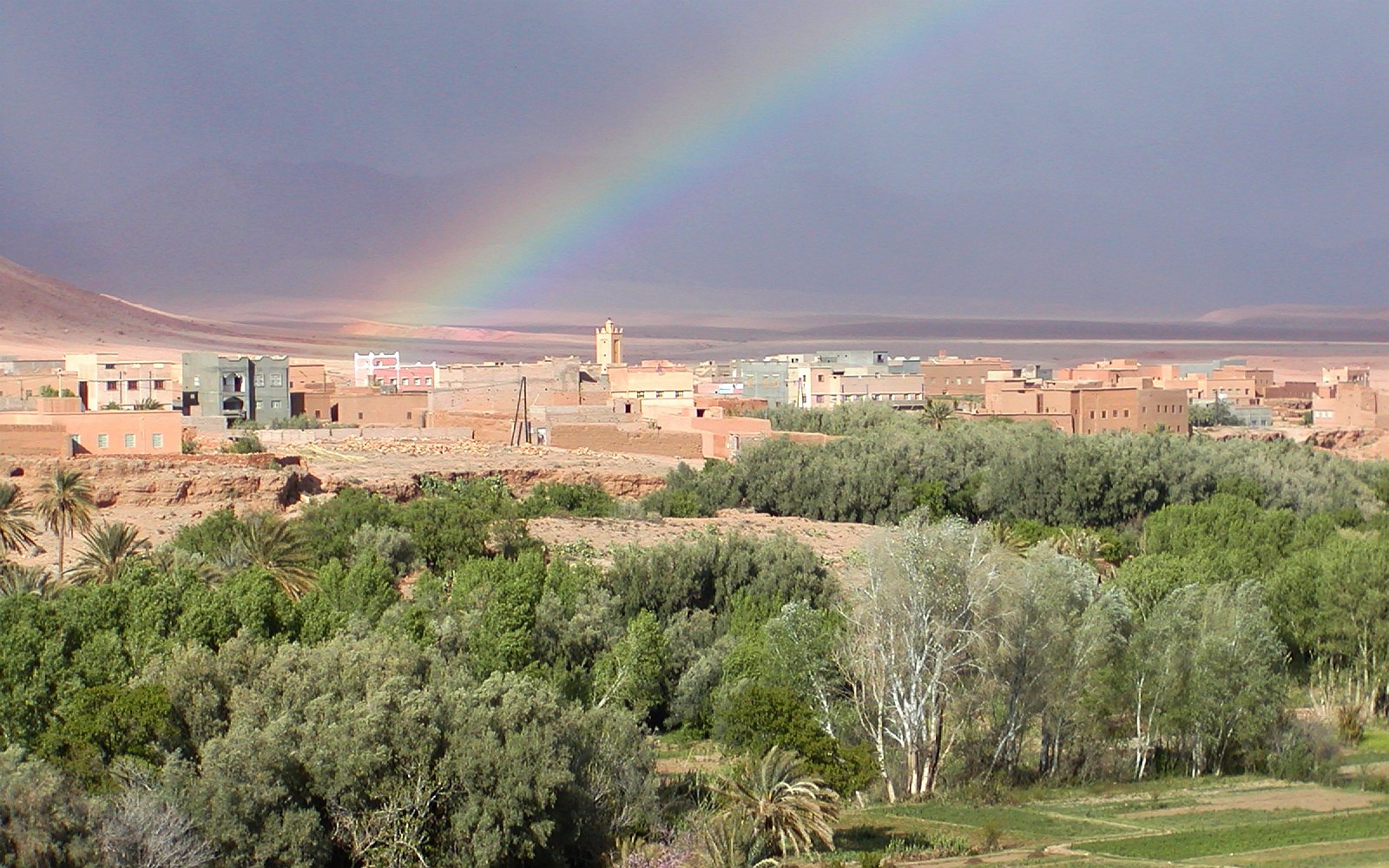 The area of Tinghir includes various villages along an oasis extending for 30 km along the Wadi Todgha. The palm groves (date palm Phoenix dactylifera) and the farmland are irrigated by a system of canals and pipes. Wadi Togdha originates in the High Atlas. The image was taken on one of the few days a year when the area receives rainfall. WI_mc049.jpg