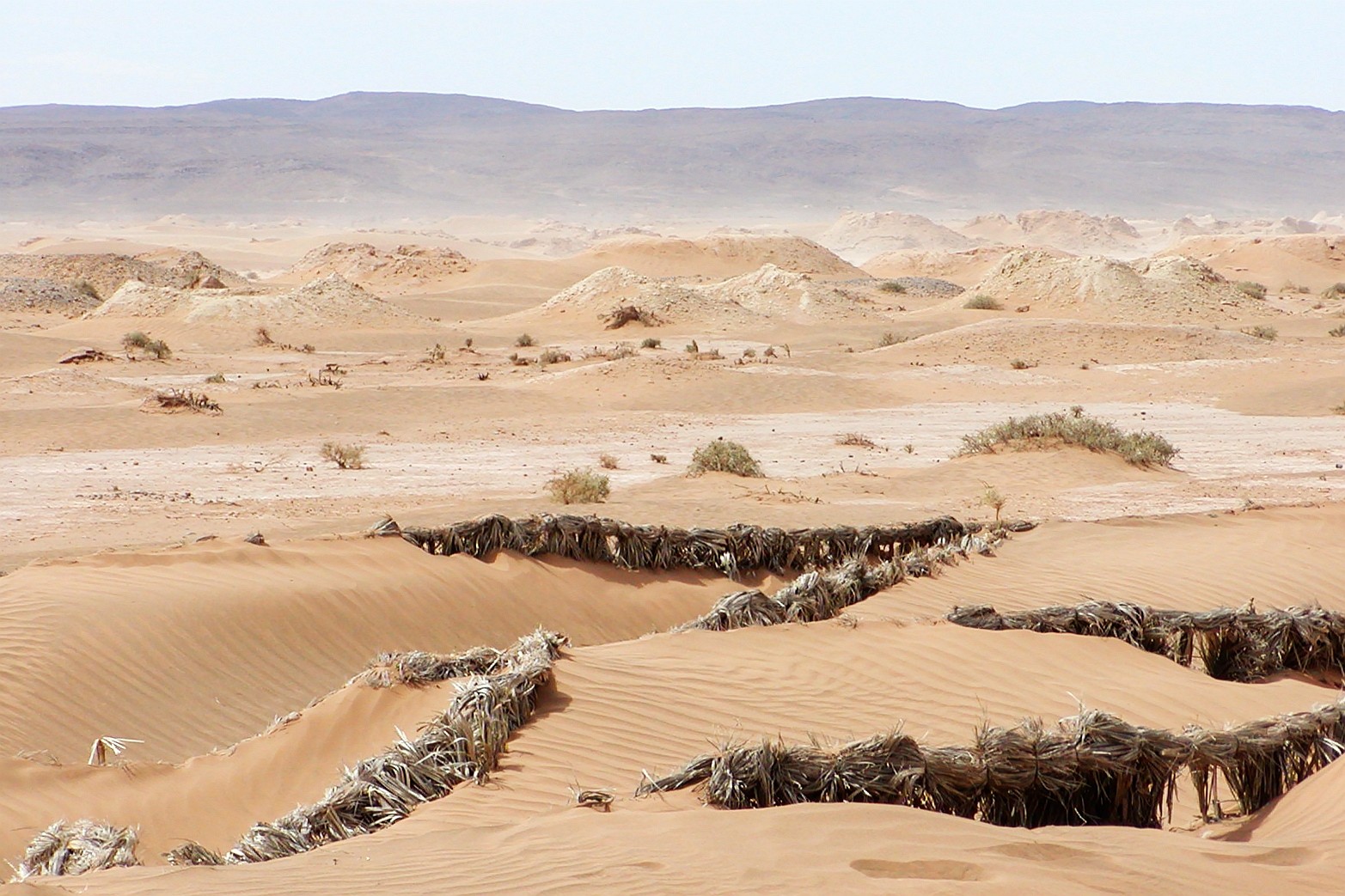 Erfoud  |  Dune stabilization and khettara