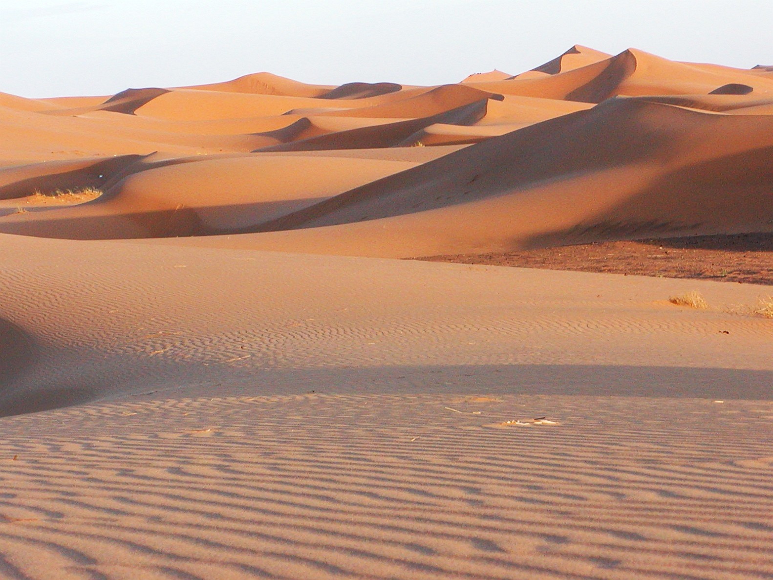 Sunsert view. Erg Chebbi represents one of two large dune fields in the Moroccan part of the Sahara desert, with dunes reaching a maximum height of approx. 150 m. WI_mc077.jpg