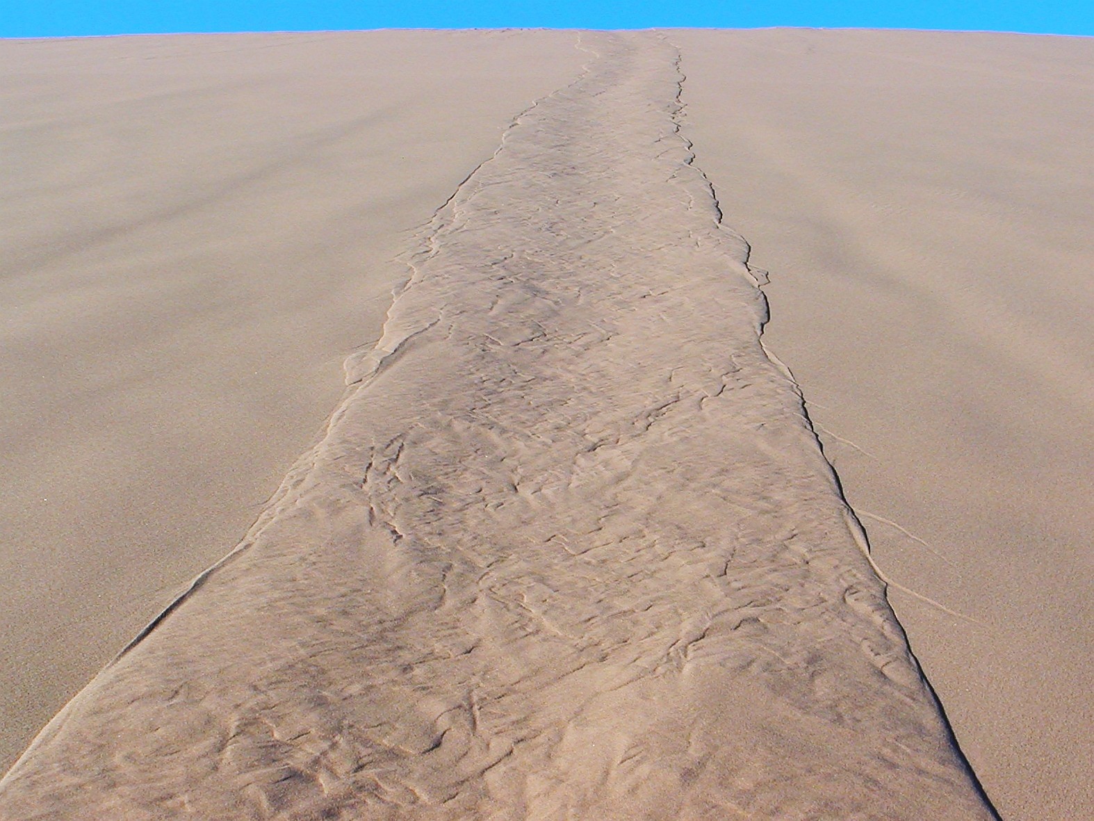 Erg Chebbi represents one of two large dune fields in the Moroccan part of the Sahara desert, with dunes reaching a maximum height of approx. 150 m. The dunes' slopes are in a fragile equilibrium, so that small disturbances (such as caused by visitors climbing the dunes) result in sand flows. WI_mc079.jpg