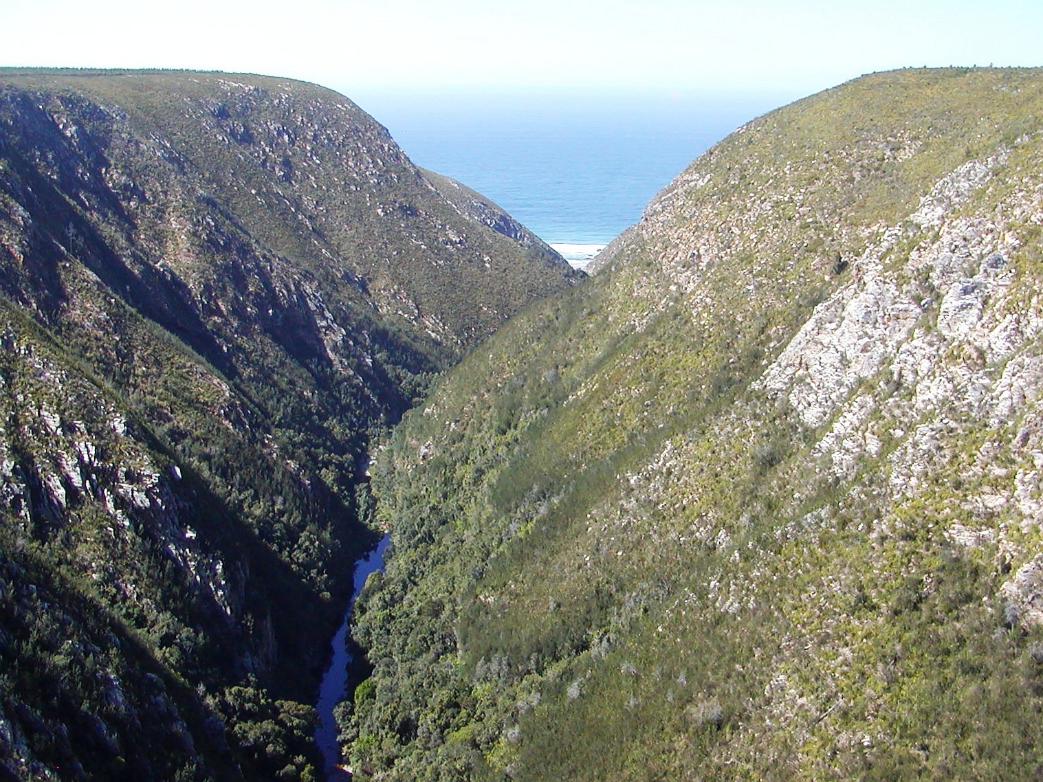 Bloukrans River gorge