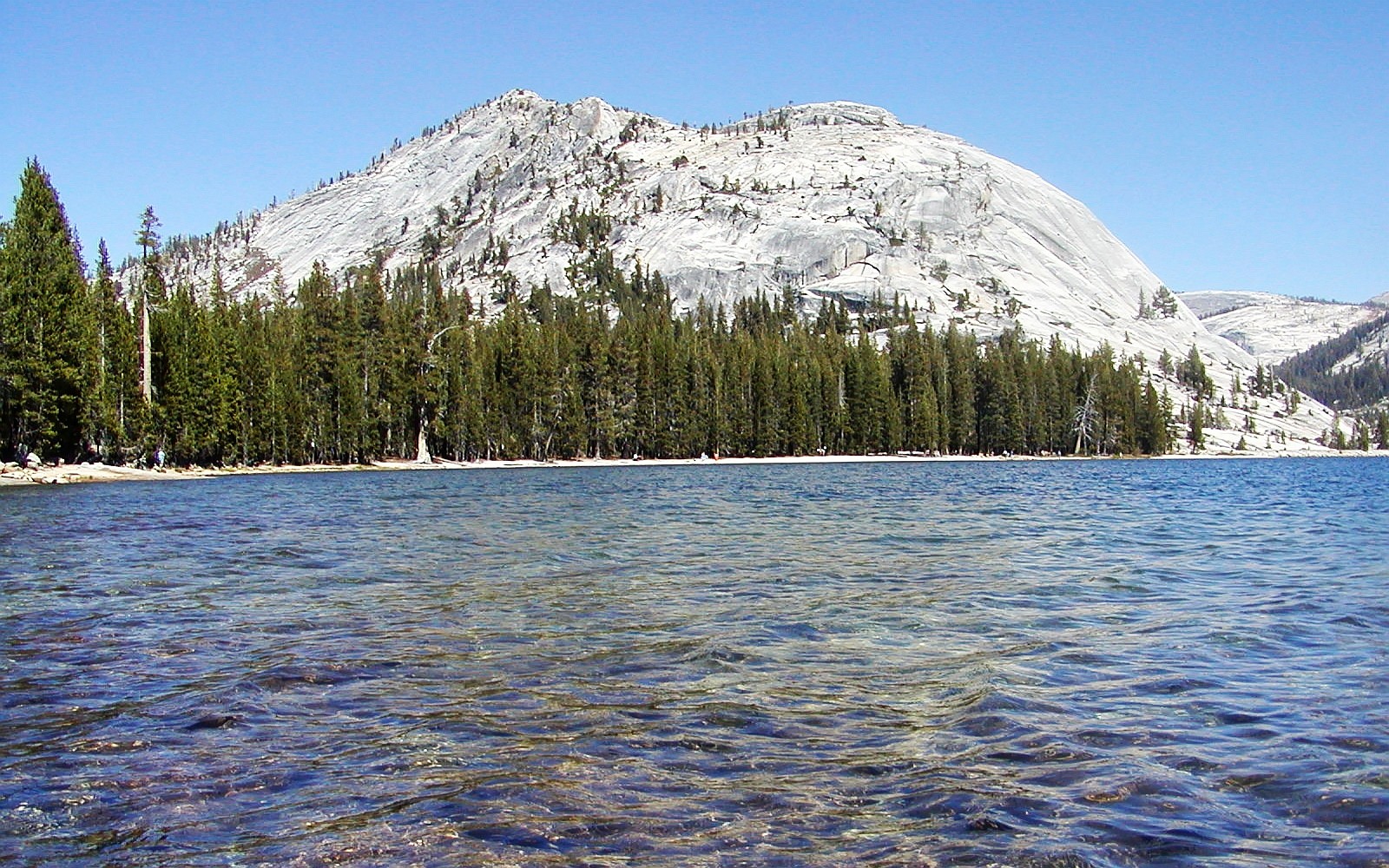 Yosemite NP  |  Tenaya Lake
