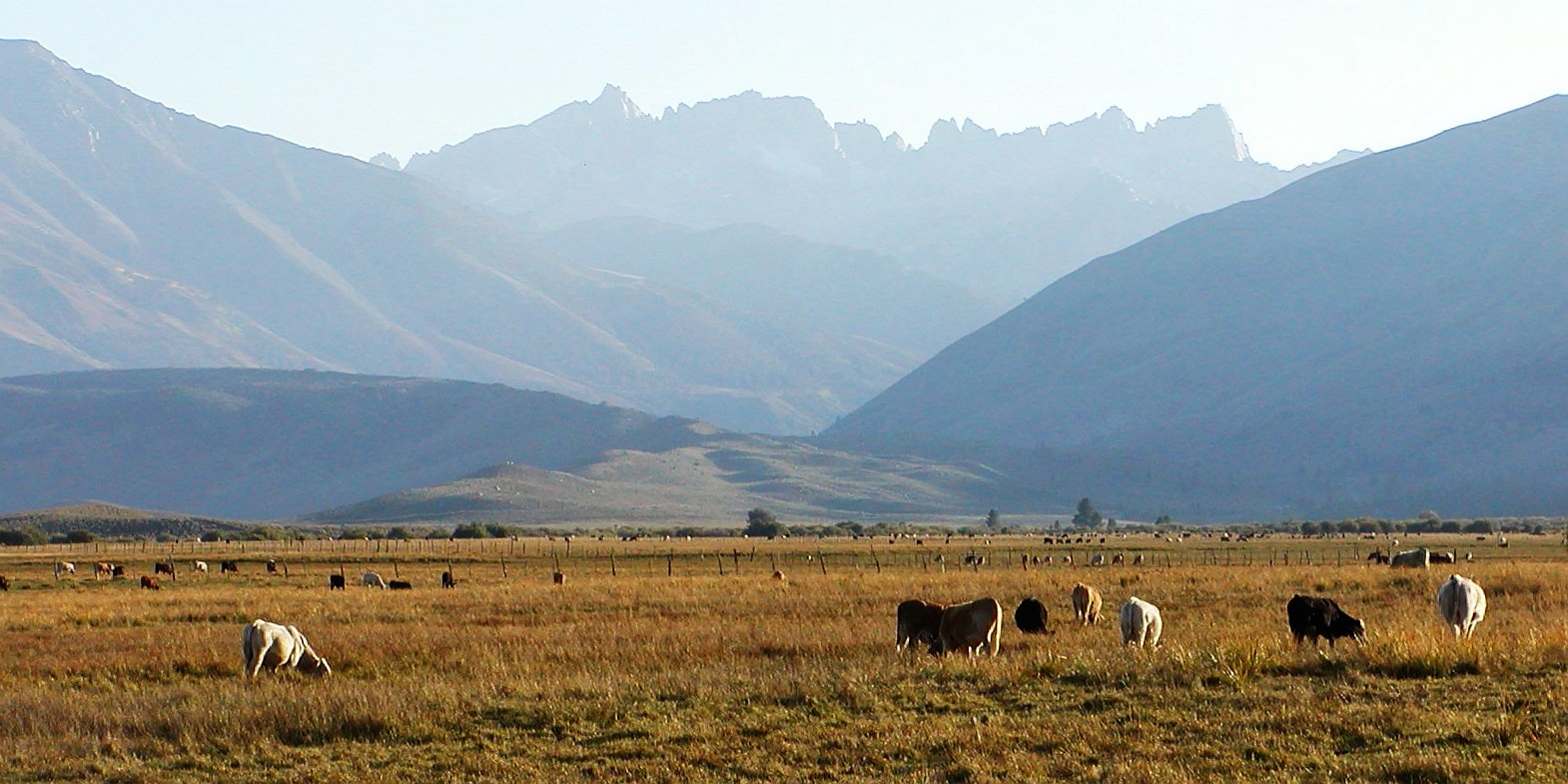 Sierra Nevada with Sawtooth Ridge