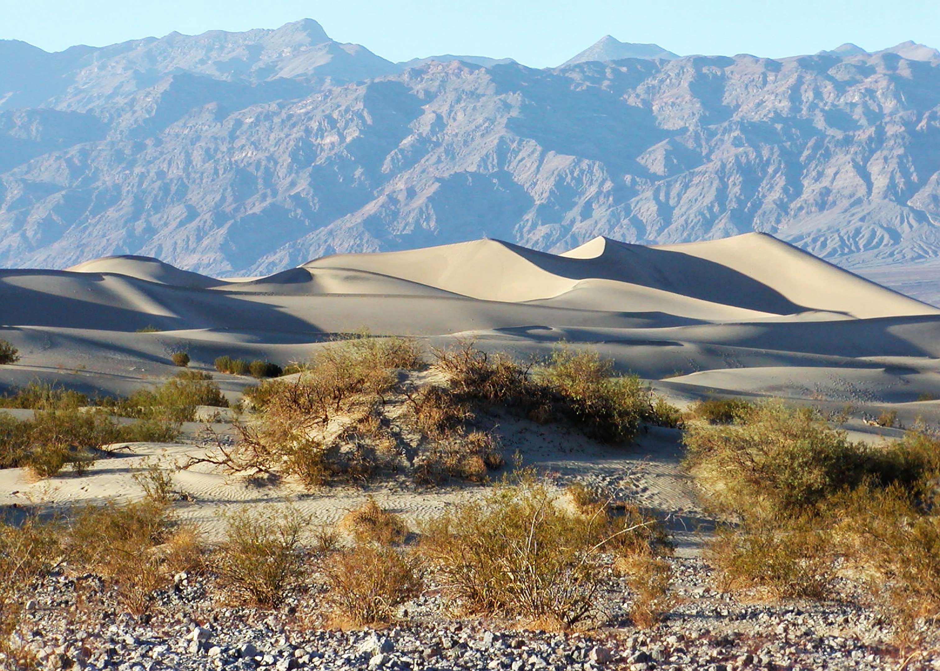 The nabkha or dune hummock in the centre of the image consists of sand captured by creosote bush (Larrea tridentata) WI_ca162.jpg