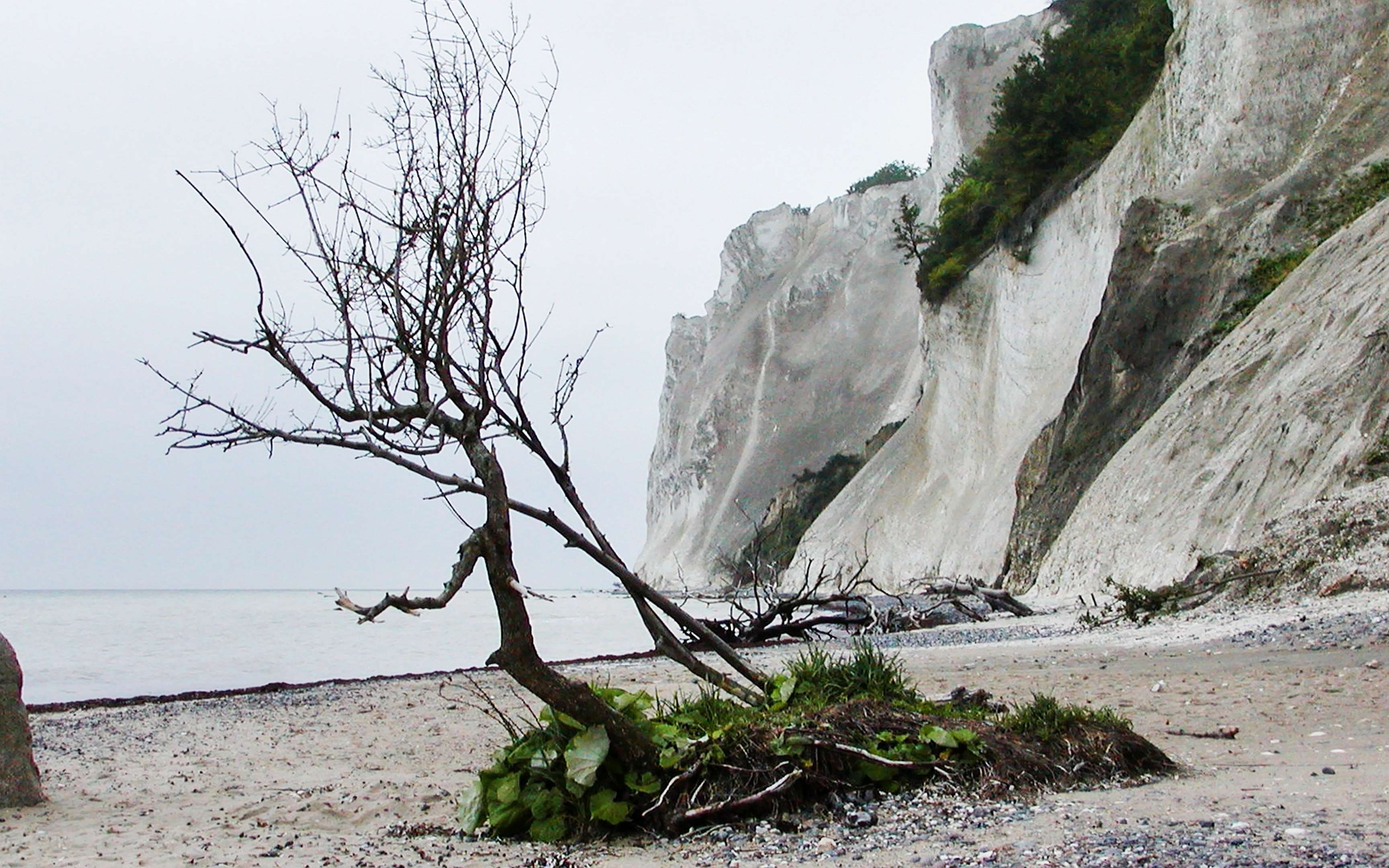 Møns Klint