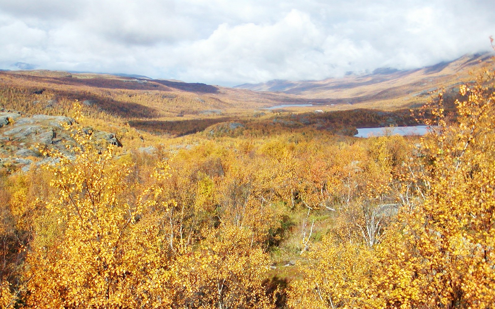 Helligskogen  |  Autumn landscape