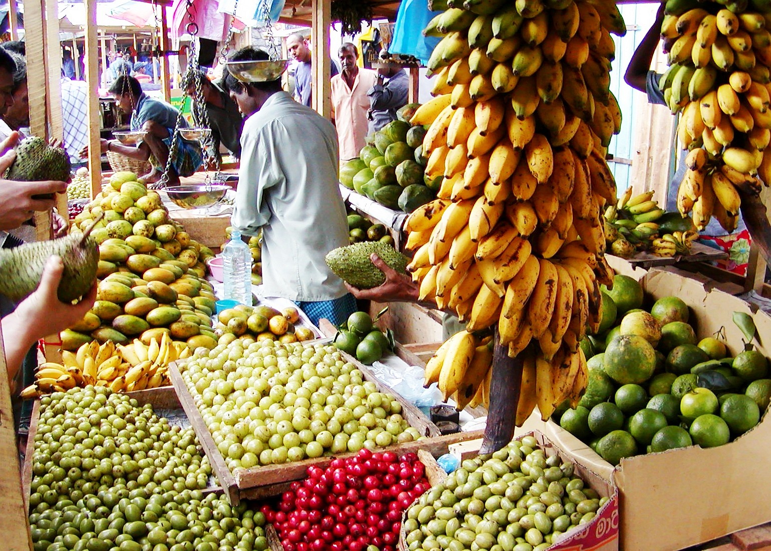 Market in the centre of the capital city of Sri Lanka's Central Province WI_sl035.jpg