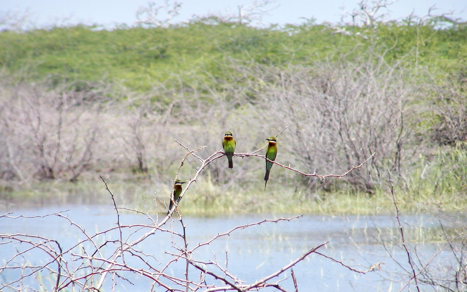 This national park and biosphere reserve represents an important wintering ground for migratory water birds. WI_sl103.jpg